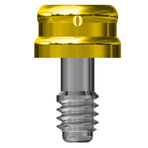 MONCONE CONNEKTOR H1 copia